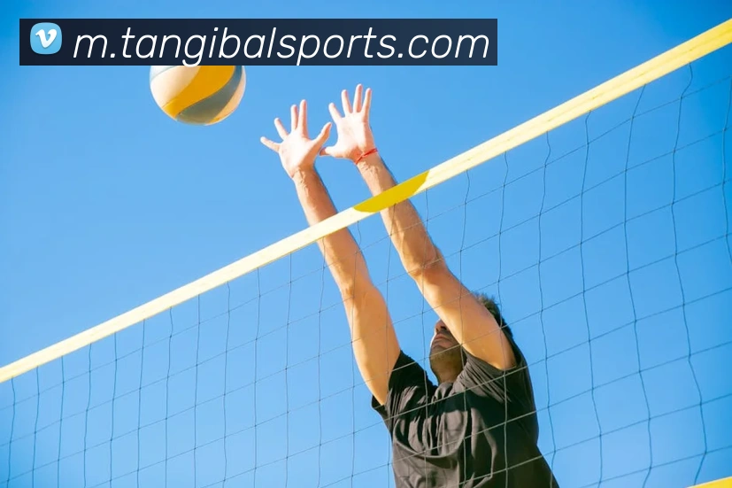 球赛投注发展历程